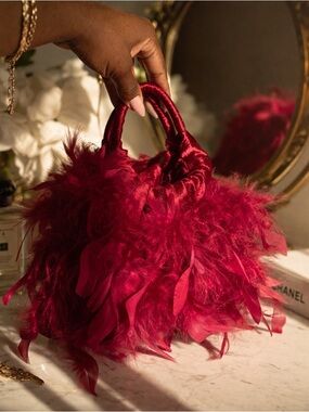Red Feather Statement Mini Bag – Boutique Style – Luxe Editorial Piece